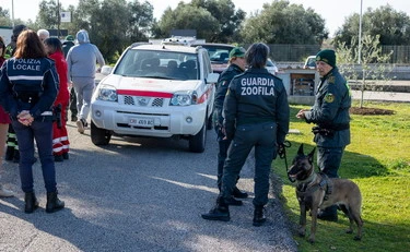 Federica Torzullo, a Carlomagno contestato anche il reato di femminicidio