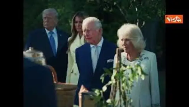 Leggi l'articolo: Trump e Melania mostrano a Re Carlo III e Camilla il nuovo apiario della Casa Bianca