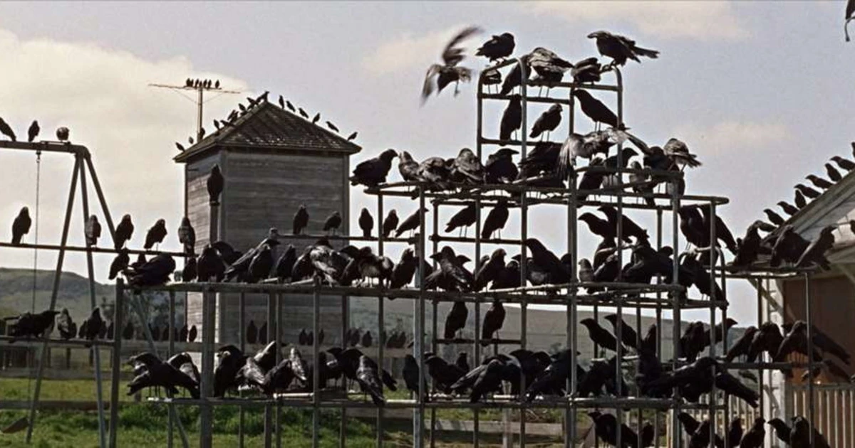 "Gli uccelli", l'ultimo vero grande film di Alfred Hitchcock