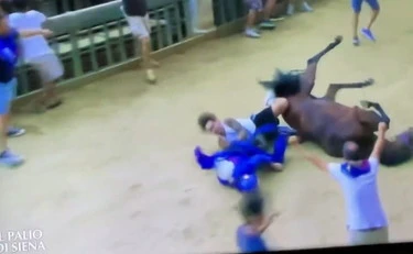 Il video-choc del Palio di Siena: che fine fanno il cavallo e il fantino