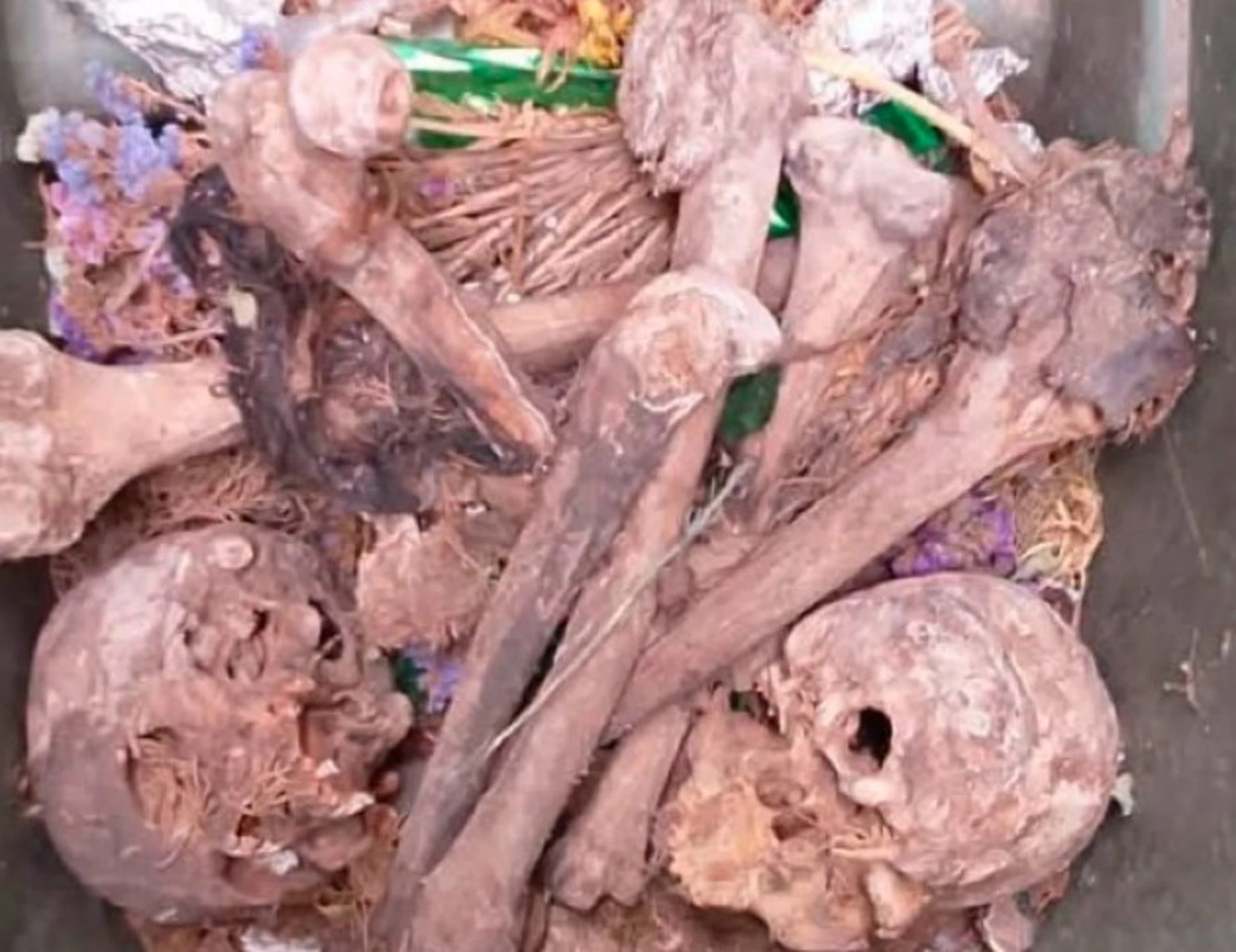 Marsala, orrore al cimitero: teschi e ossa umane in un bidone della spazzatura