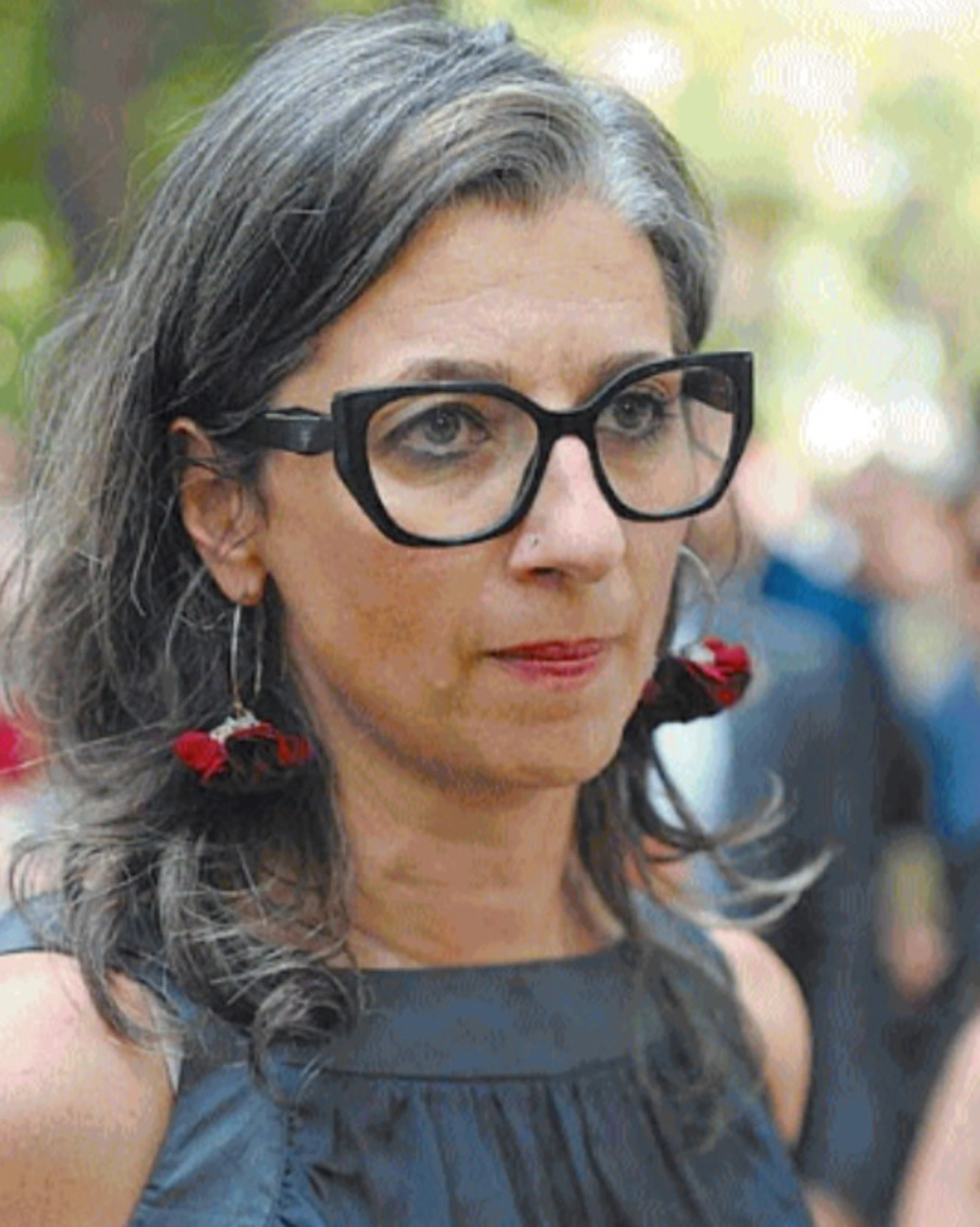 Francesca Albanese, le 30 delegazioni che ha riunito. E l'Iran ringrazia