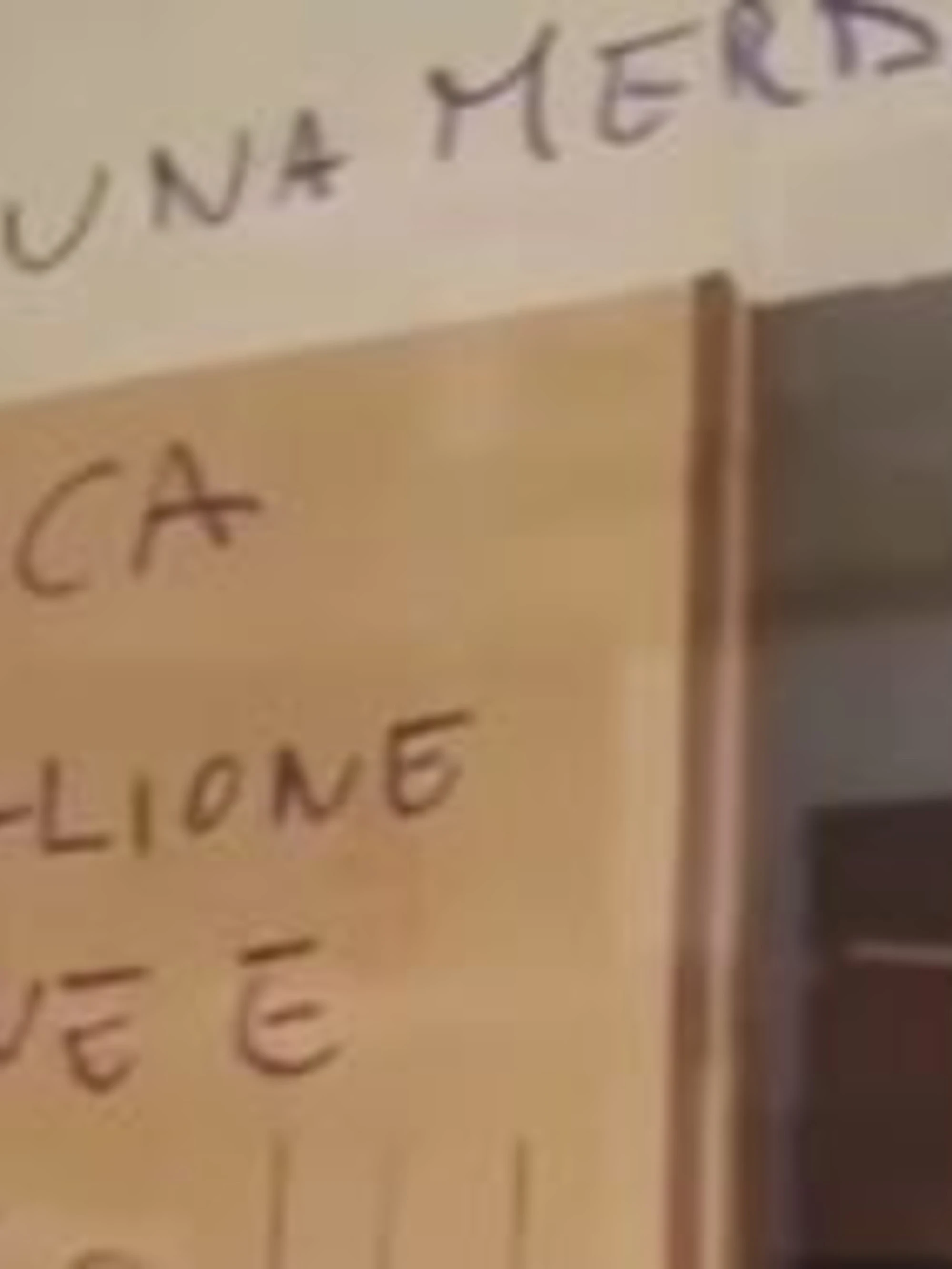 "Cocainomane". E Salvini smaschera i teppisti