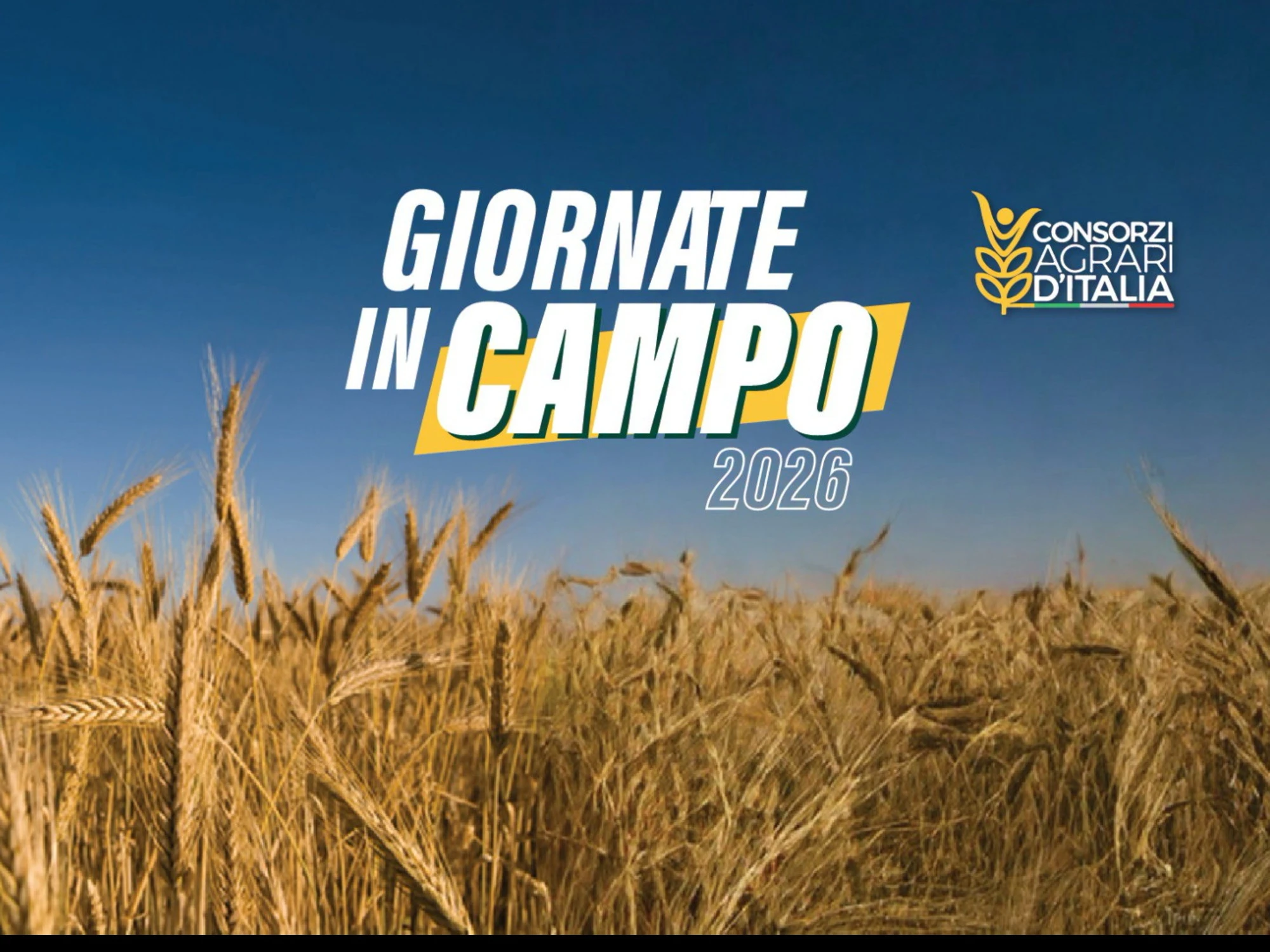 CONSORZI AGRARI D’ITALIA, TORNANO LE “GIORNATE IN CAMPO”