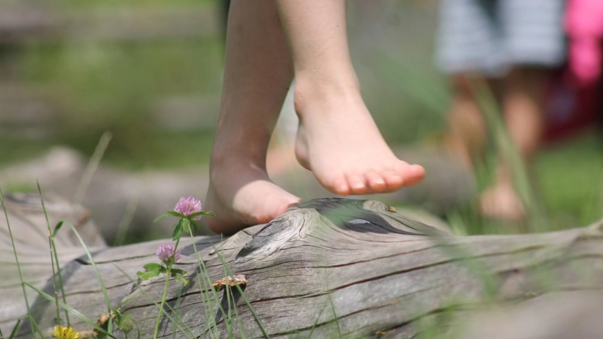 A piedi nudi tra natura e scienza: presentati i dati italiani che misurano gli effetti del barefooting