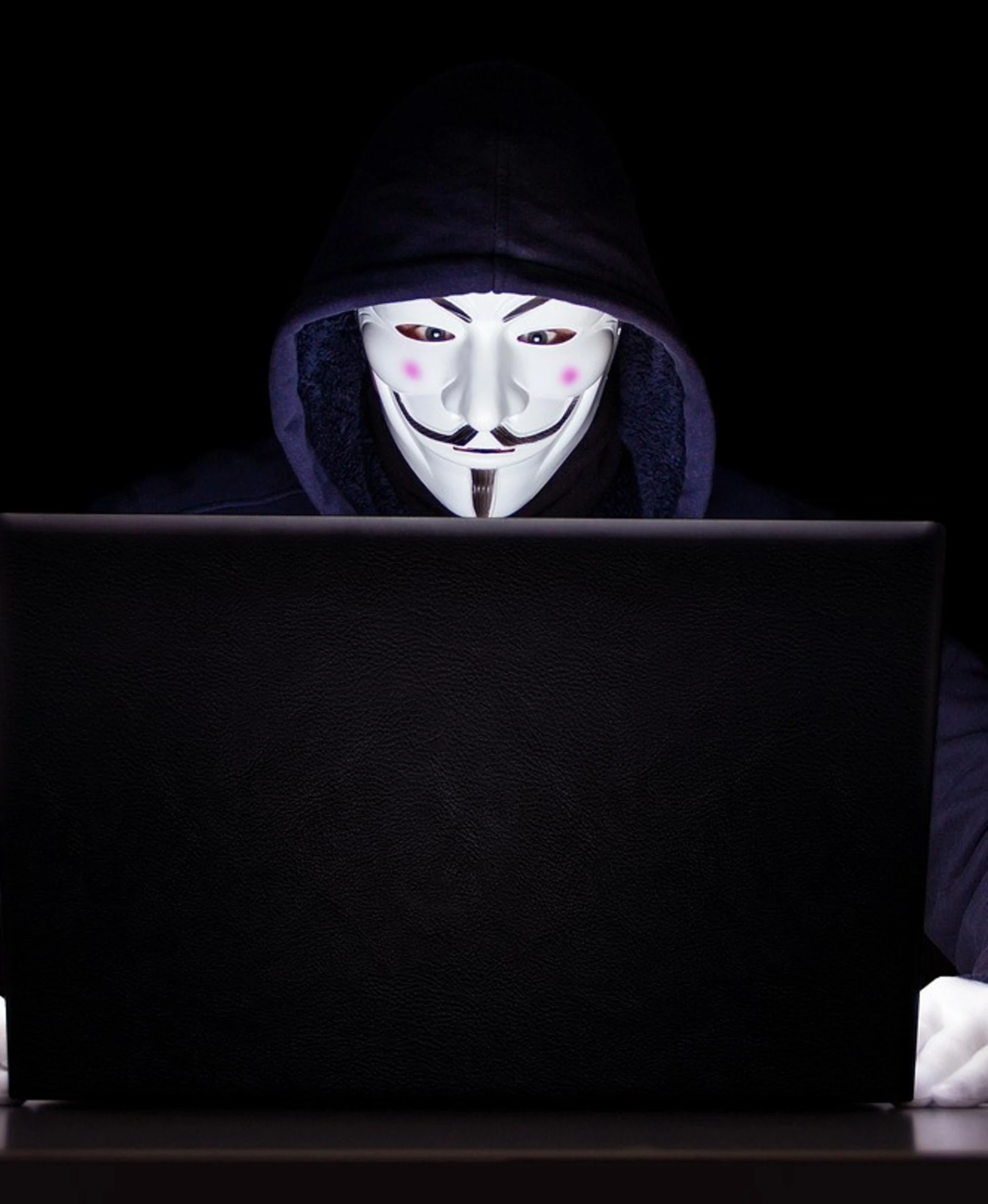 Un cybermanager domestico unico modo per difendere le nostre case