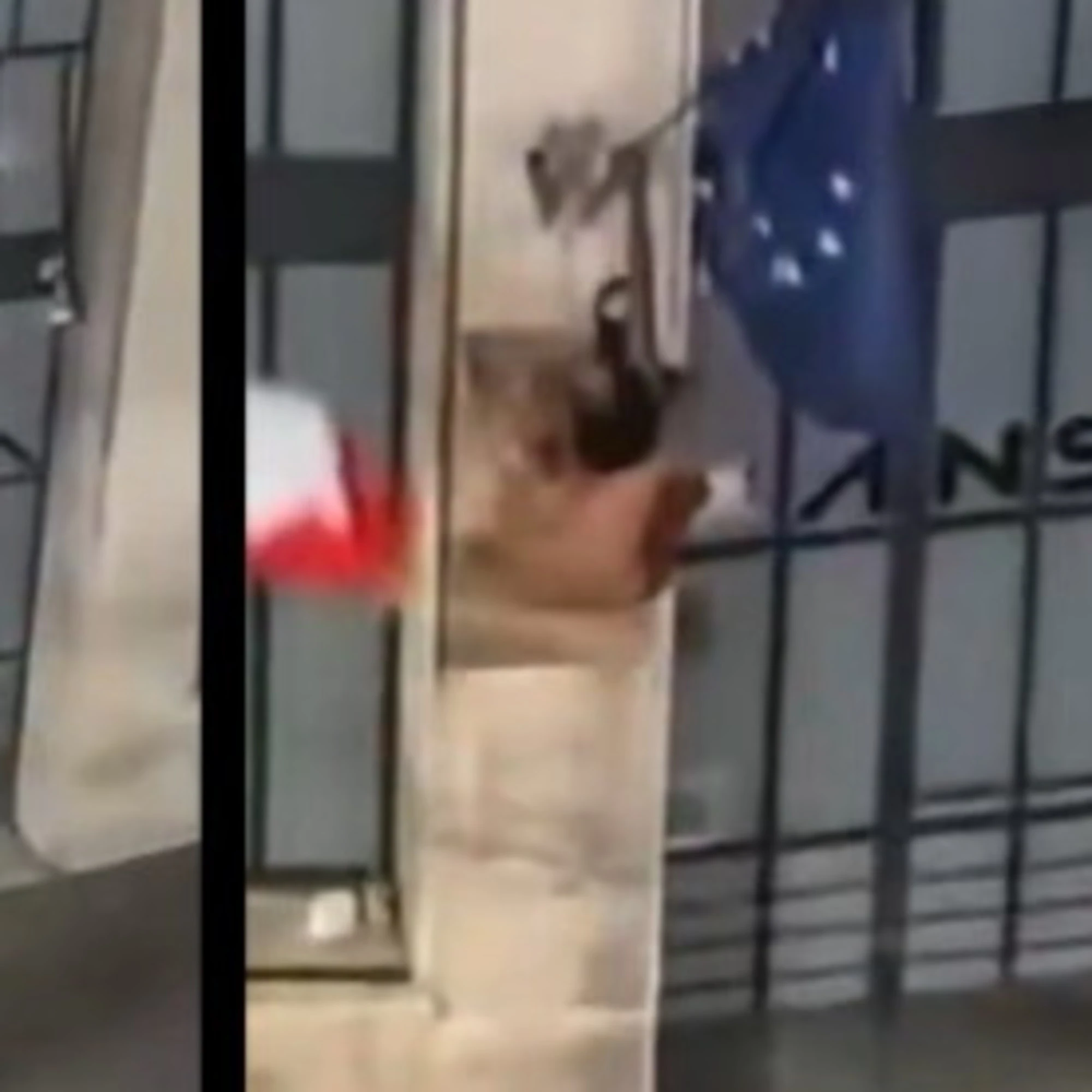 Espulso l'immigrato che calpesta il Tricolore