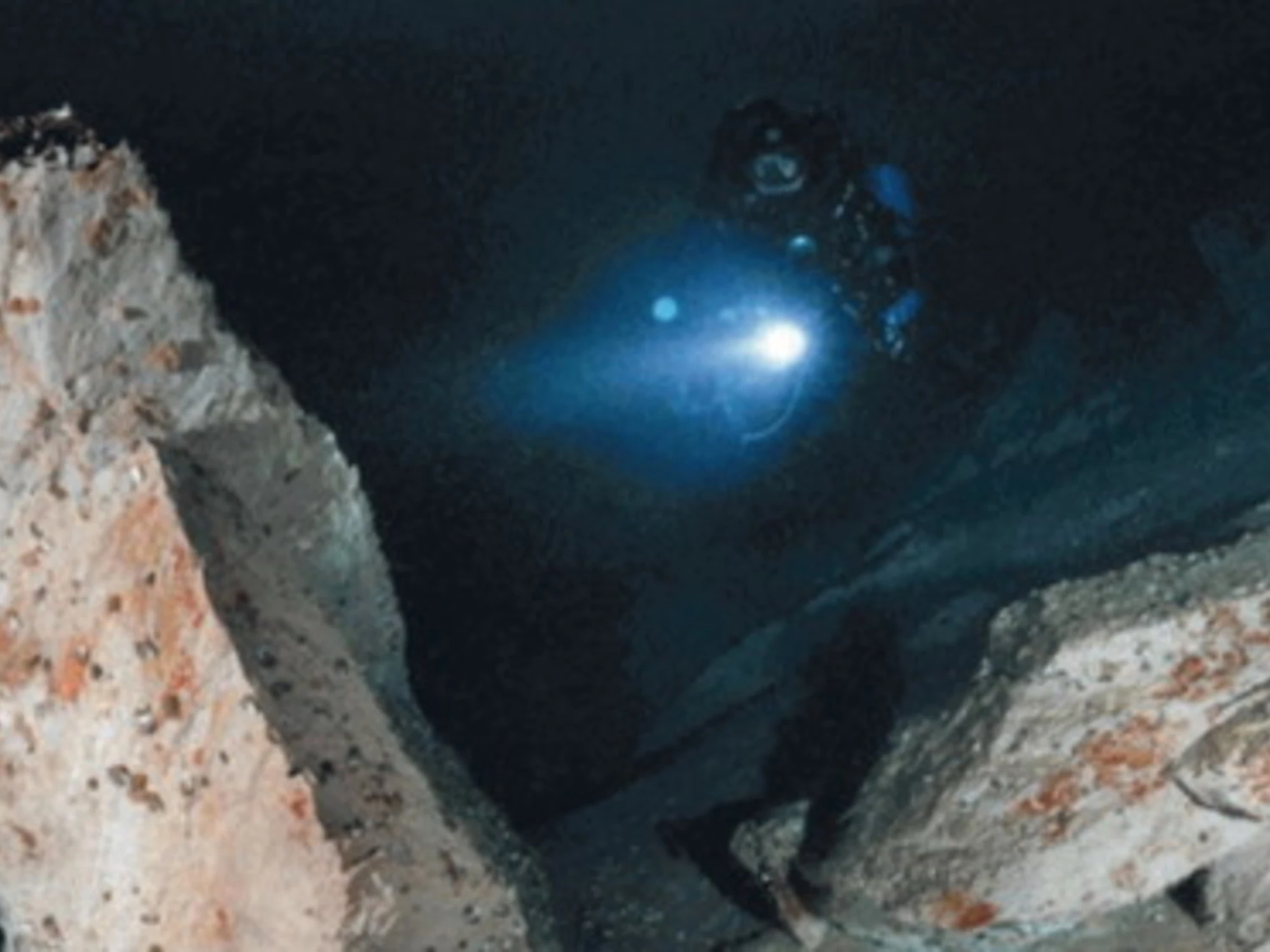 Lago di Garda, l'invasione dei parassiti: cosa sta succedendo