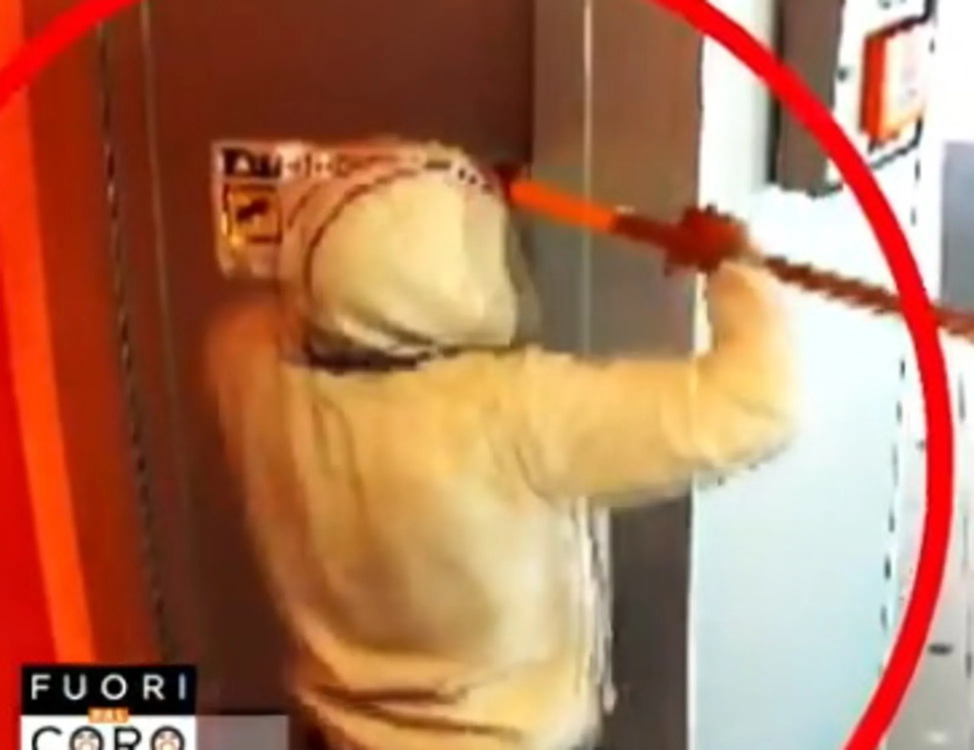 Leggi l'articolo: Terrorizzava i cittadini col piccone: beffa clamorosa, che fine ha fatto "Picoman"
