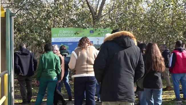 A Marcianise svolta green Haiki Metals, Pietro Colucci "10 mln di investimenti"