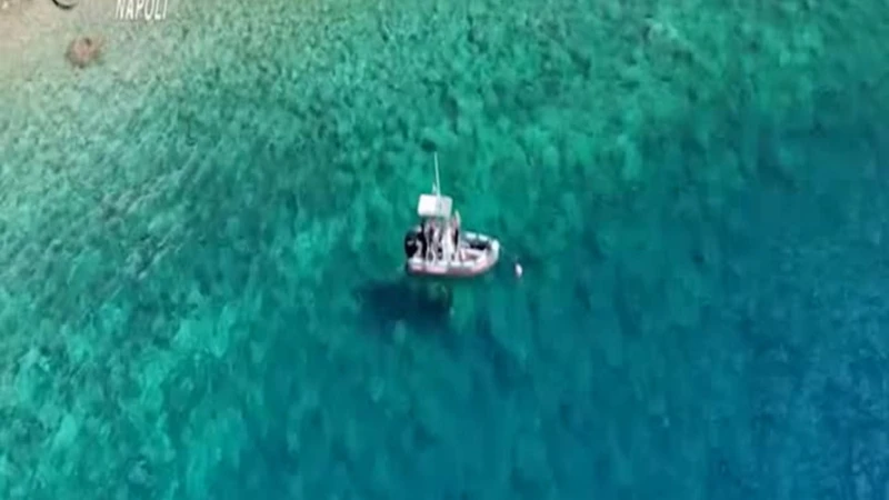 Ischia, resort di lusso abusivo: dove era nascosto, clamoroso