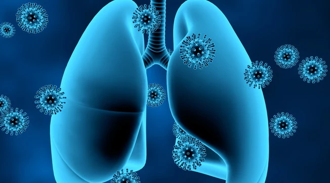 Omicron, non i polmoni ma i bronchi: ecco come li riduce, perché la variante tiene sotto scacco il mondo intero