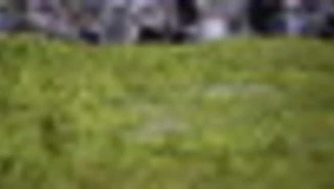 Messico, 6.800 kg di guacamole per battere il Guinness World Record