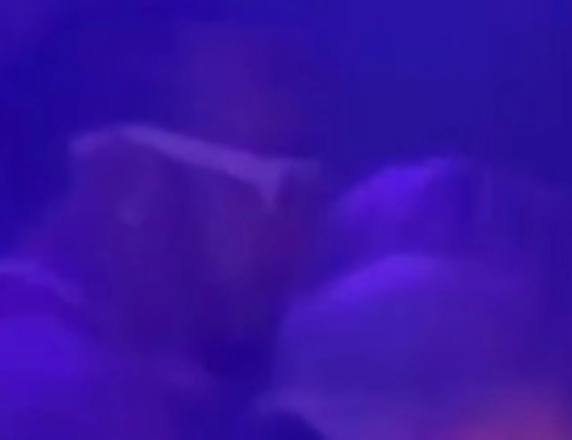 Lewis Hamilton scatenato dopo il Gp, con chi lo beccano in discoteca