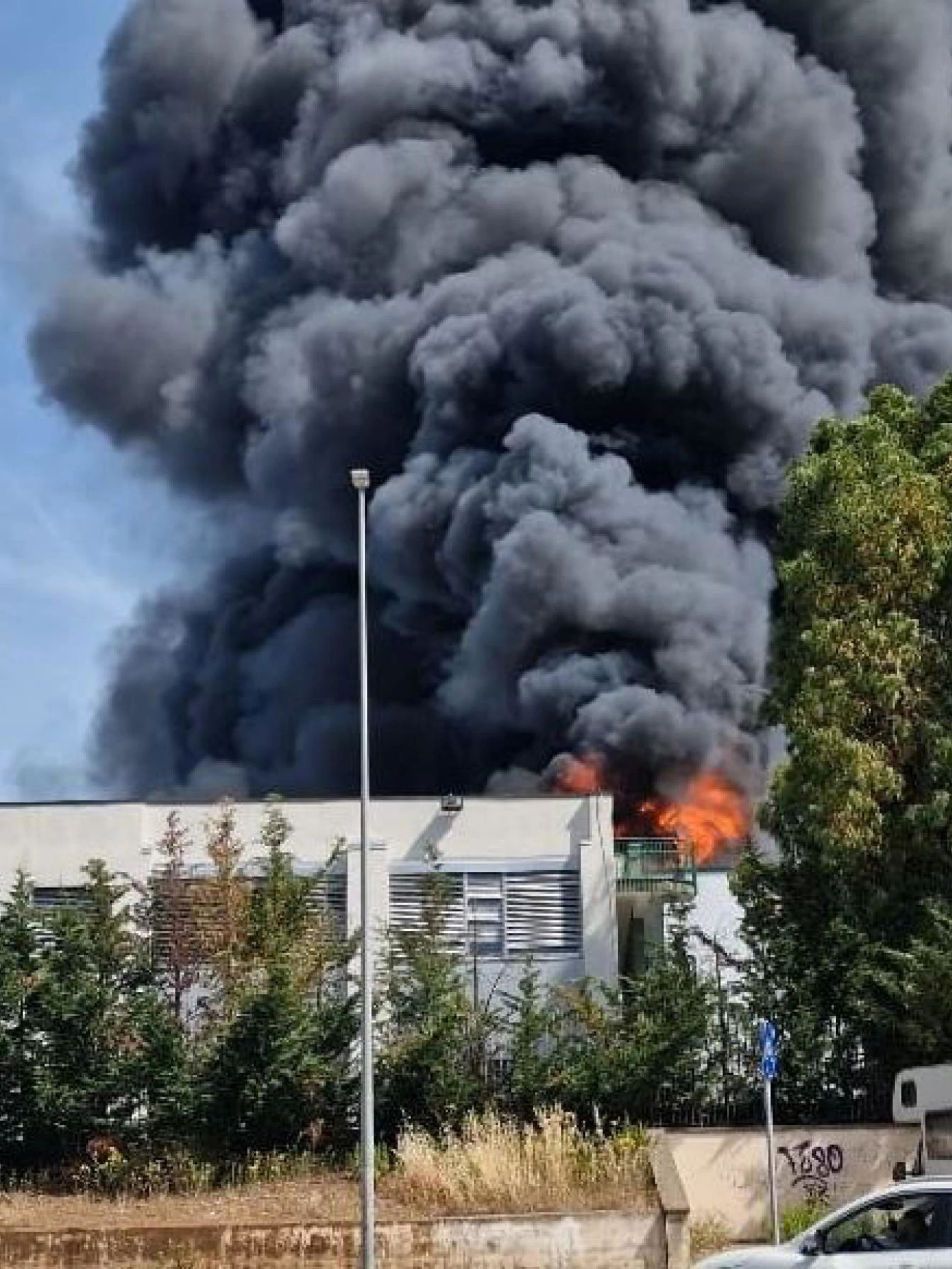 Rogo all'università della Tuscia, le fiamme devastano la facoltà di Agraria