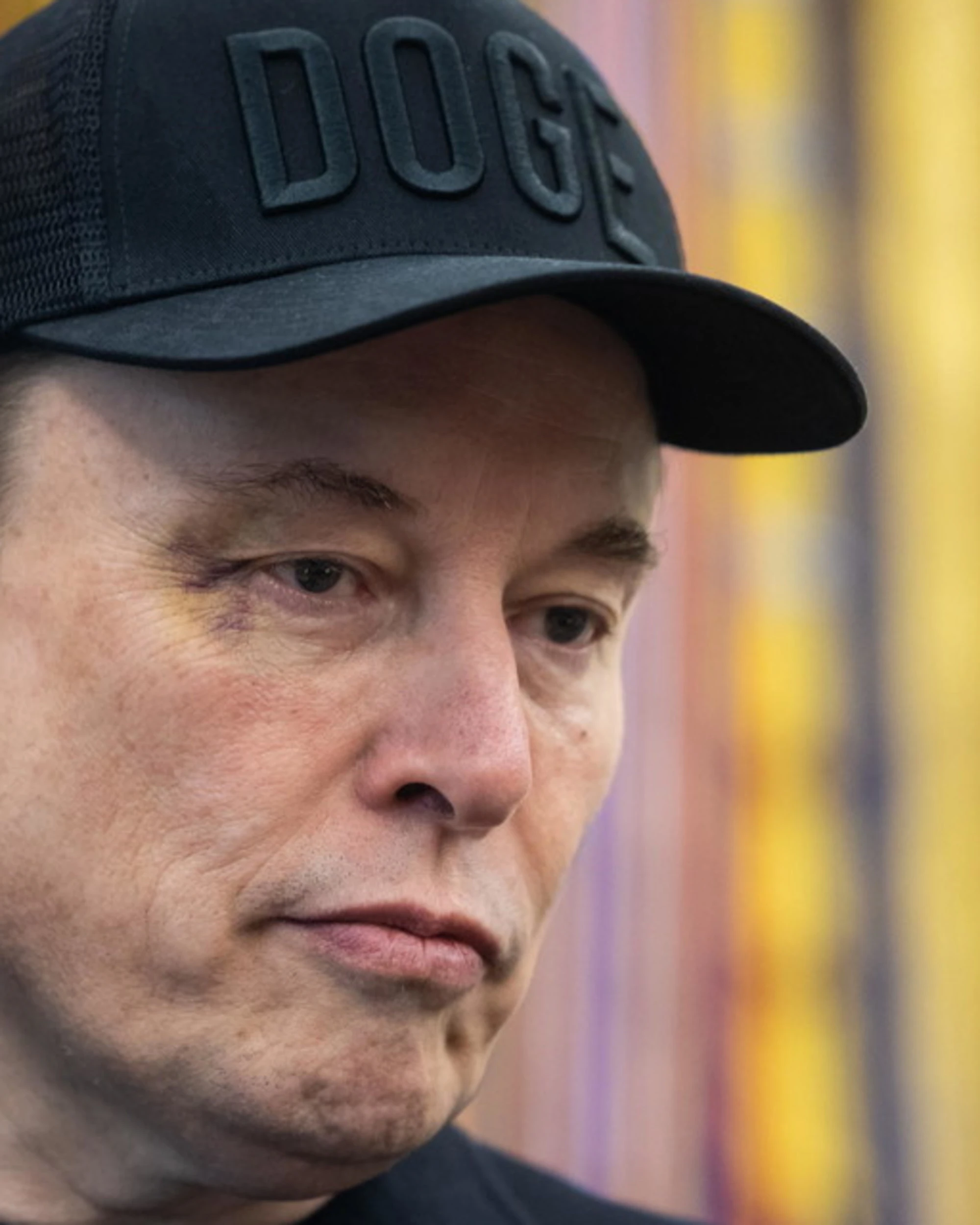 Elon Musk, "serve un nuovo partito": come vuole chiamarlo