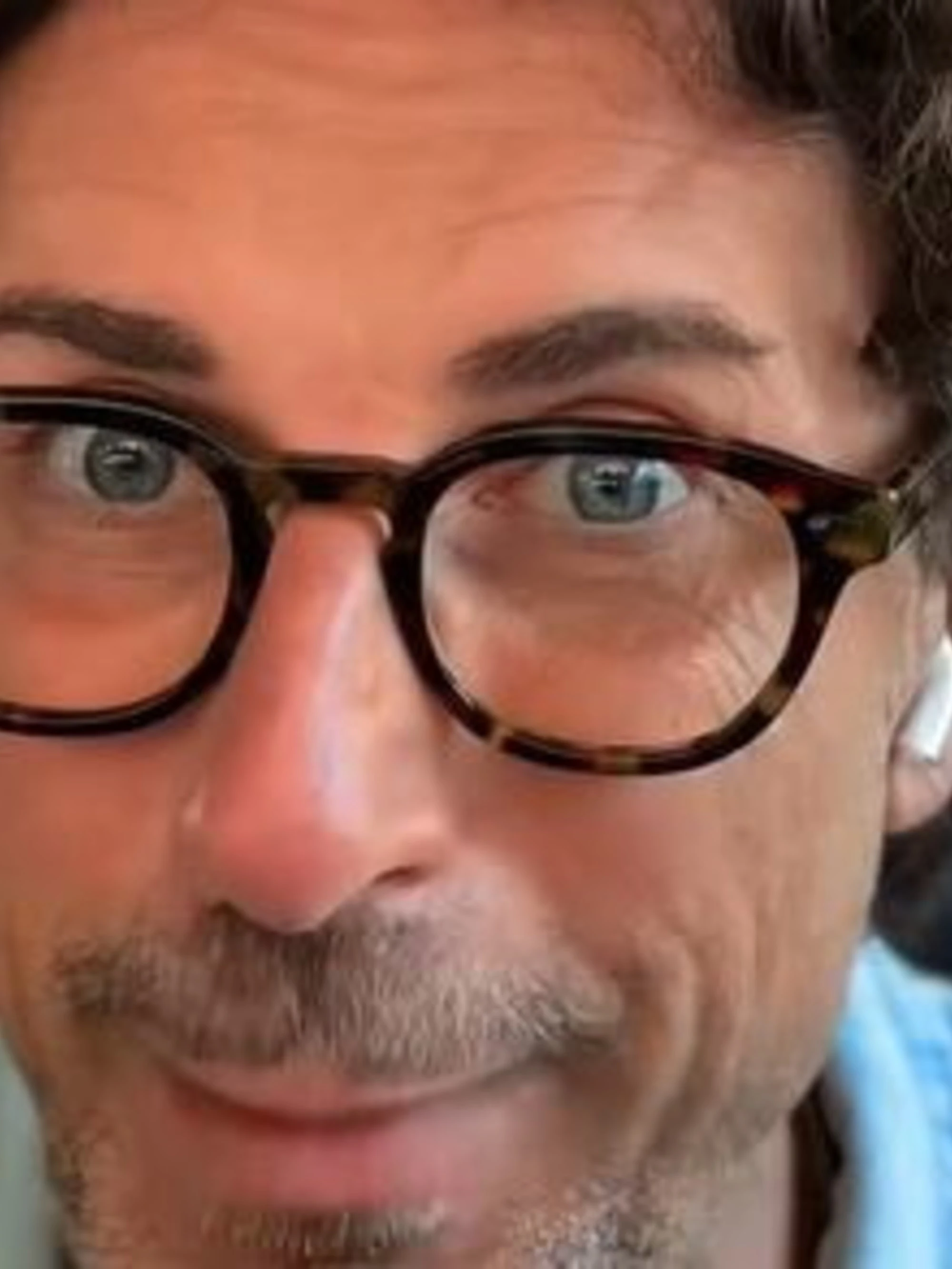 Danilo Toninelli, l'ultimo delirio: "Perché Meloni accarezza un cane corso italiano"