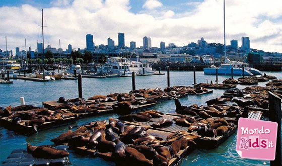 San Francisco da scoprire