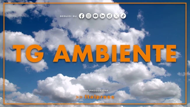 Tg Ambiente - 12/4/2026
