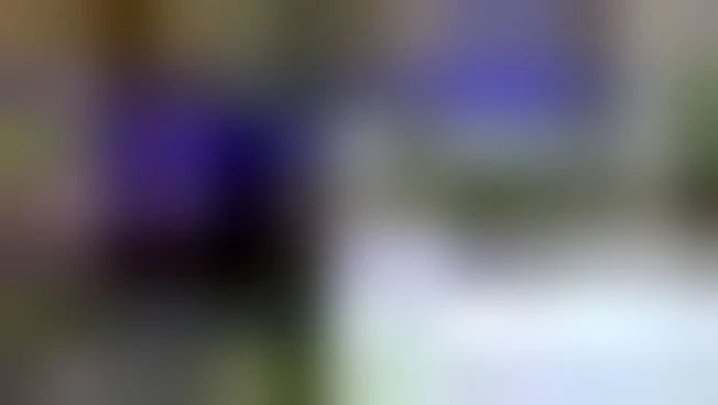 https://media.liberoquotidiano.it/05tphfmhhTd9Dg2t6kn2OngLQ1crRL_Xh3nsXnn9Q6Q/width:800/quality:90/aW1hZ2VzLzIwMjYvMTAvMDUvMTY0OTUxMjI4LWYwYzBiNDg5LWVmMDktNDAxZS05YzRlLWY0NGUwYTI2OWFkYy5qcGc.webp