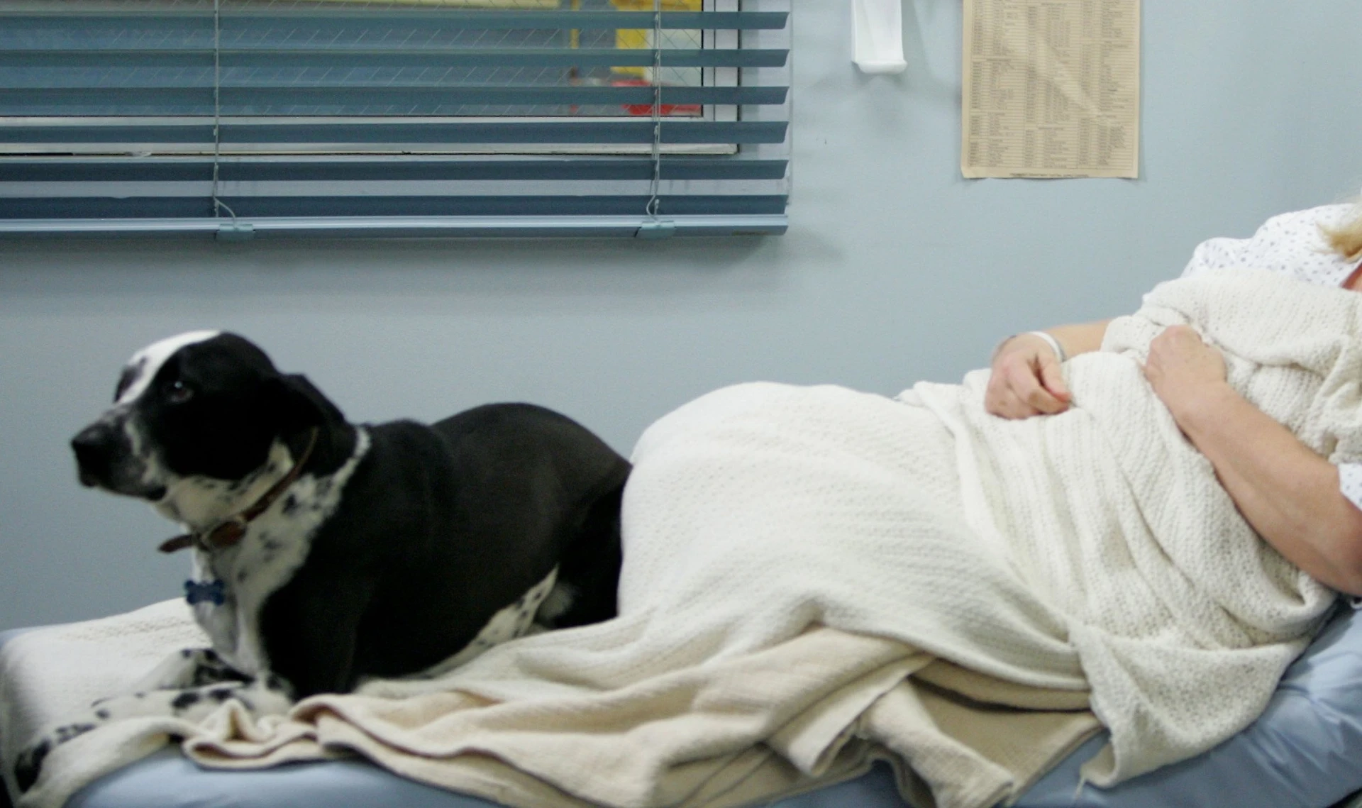 Ictus, miracolo all'ospedale di Firenze: vede il suo cane Phoebe e ricomincia a parlare