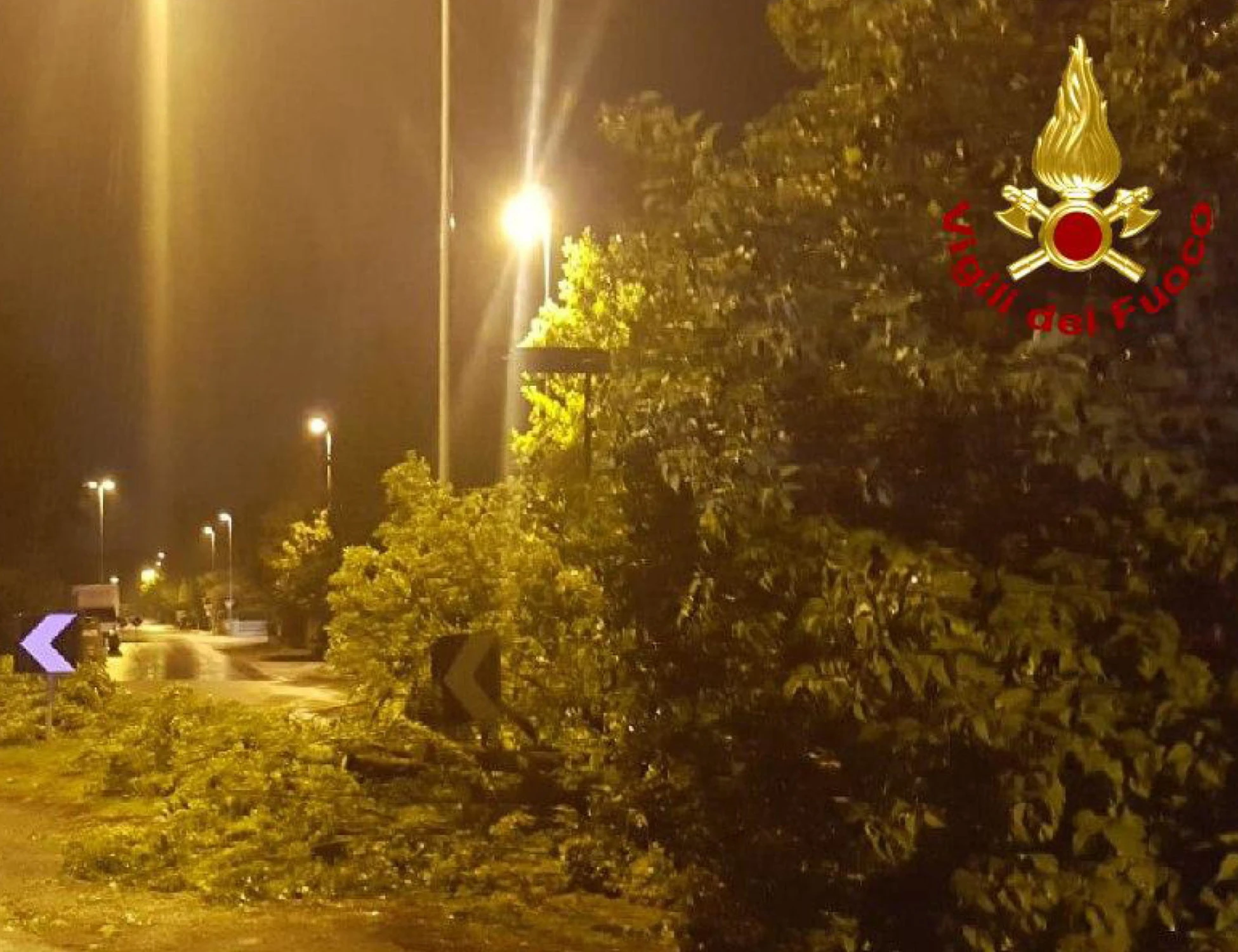 Bologna, cocaina in auto: fuga dai carabinieri e incidente, muore un imprenditore