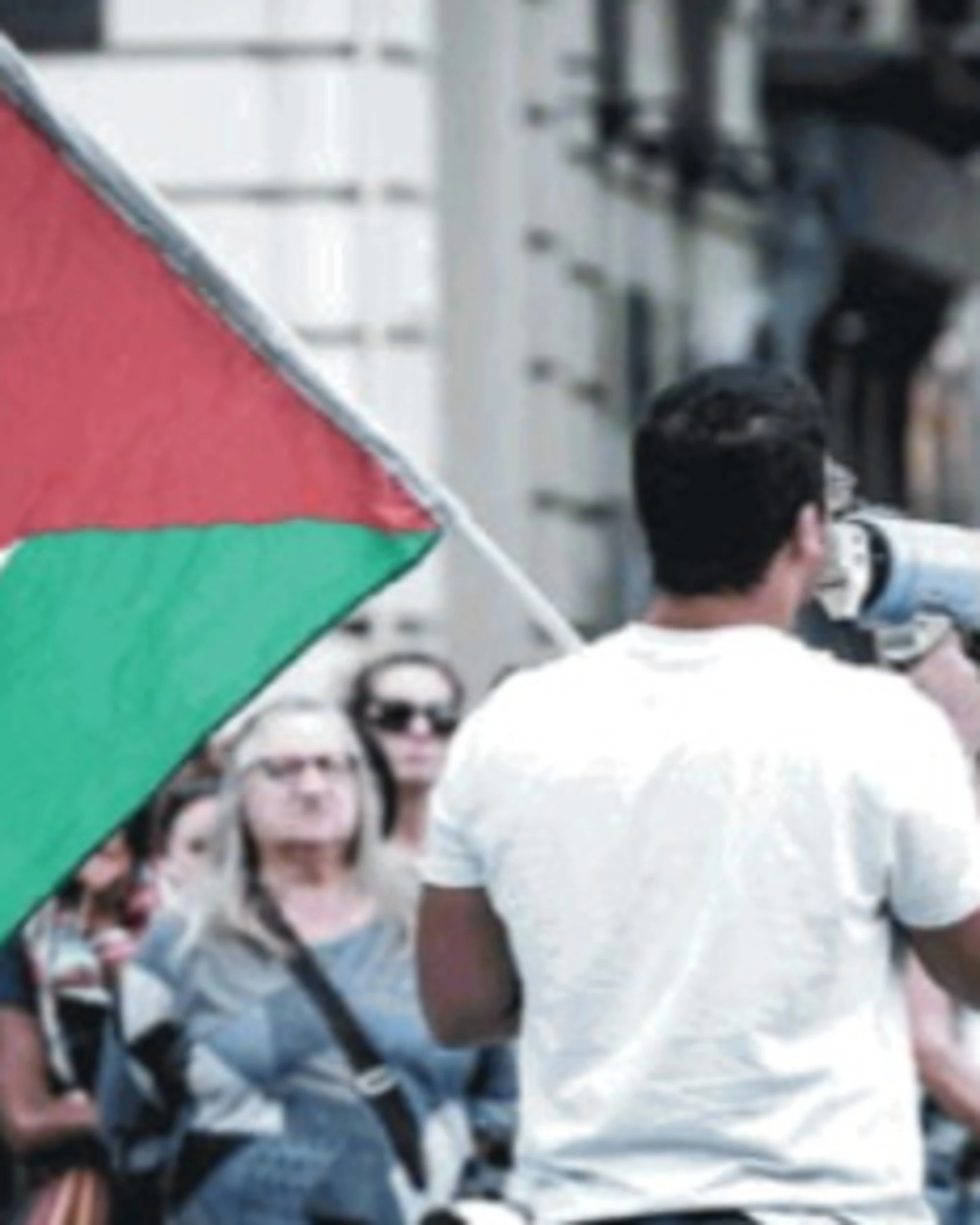 Pro Pal, scioperi e proteste per i compagni che non vanno in crociera 