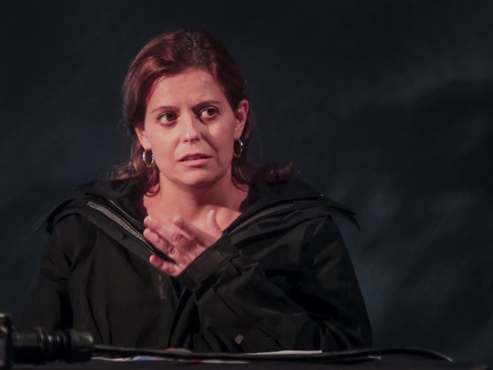 Ilaria Salis aizza ancora le piazze: "Il prossimo passo sarà la licenza di sparare sulla folla?"