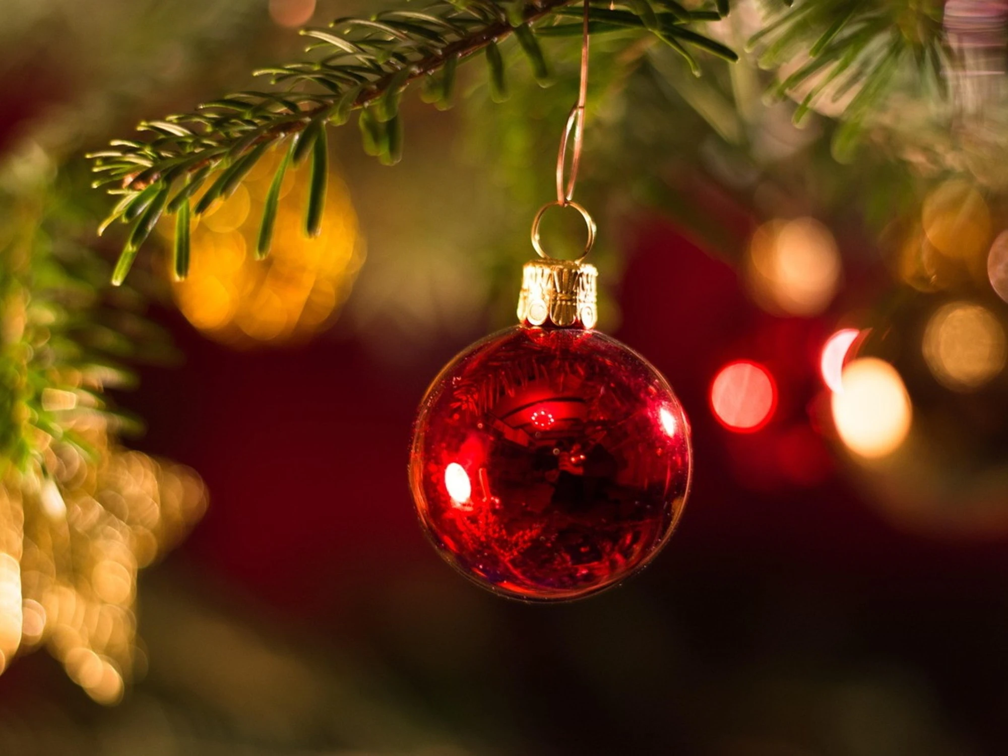 Evviva le festività, ma la generosità non abbia scadenze