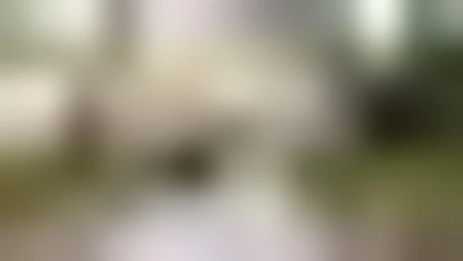 https://media.liberoquotidiano.it/0TSlsO9v5e-LBJmbp6oDQ8Goy_C3cfdEaTk0lkgXmW0/width:800/quality:90/aW1hZ2VzLzIwMjUvMTAvMjAvMTQ1NjQ1MDIzLTU0Njc4MzMzLTA3MjUtNGViMS05ZDMwLWEwNTZmZmM3Njg2YS5qcGc.webp