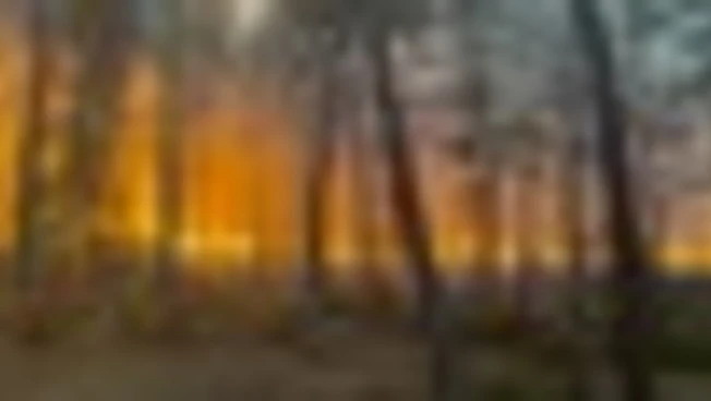 Vasto incendio nella foresta di Fontainebleau alle porte di Parigi