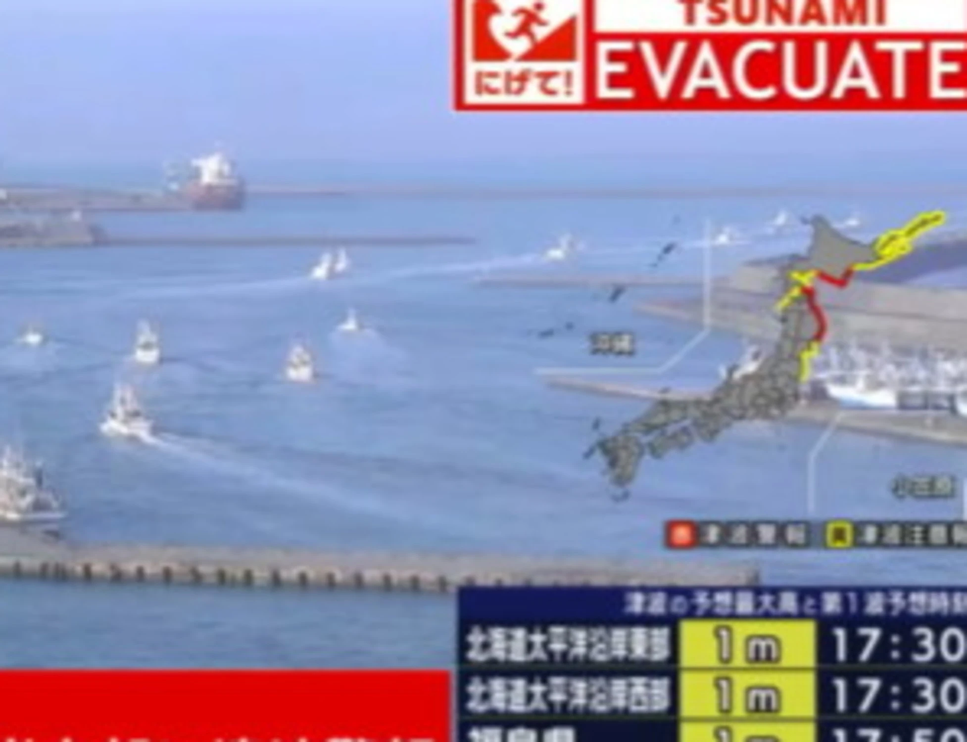 Giappone, sisma di magnitudo 7.7 e allerta tsunami. E psicosi: ora si teme il "mega-terremoto" 