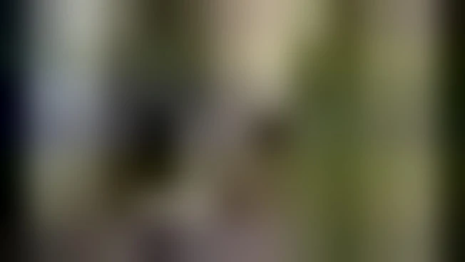 Pecoraro Scanio: Presentato calendario 2026. Sfida: 30% di aree protette