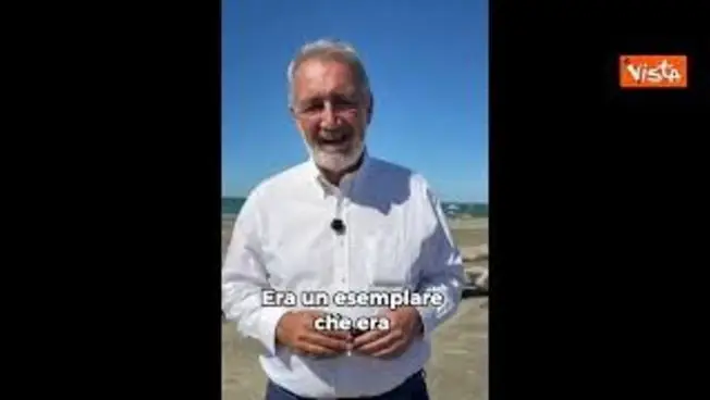Leggi l'articolo: Rocca (Lazio) libera in mare tartaruga Fortuna: Emozione unica con i bambini del Bambino Gesù