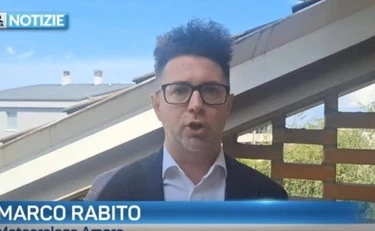 https://media.liberoquotidiano.it/0k0uElfFj03O0JqxUkiBeSGi4Wv_HTZFLjvvWYYWCOo/width:800/quality:90/aW1hZ2VzLzIwMjUvMTAvMDkvMTE0NDQ5NzM2LTliMWE1ZDQxLTRlMGItNDg1Yy05NGRiLWVmYTlkYWVjNzFiZS5qcGc.webp