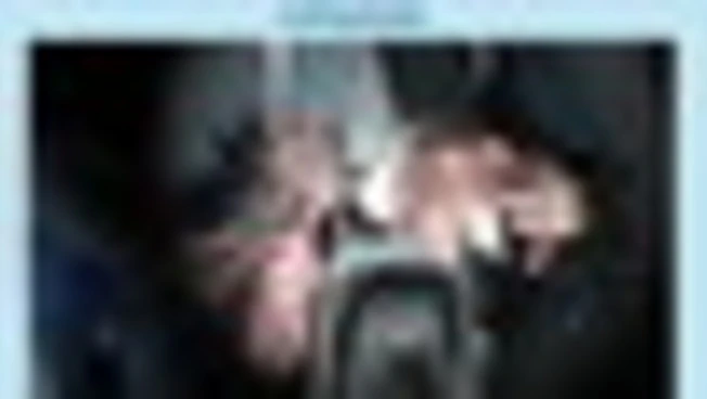 "7 milioni di euro ad Hamas": 9 arresti a Genova