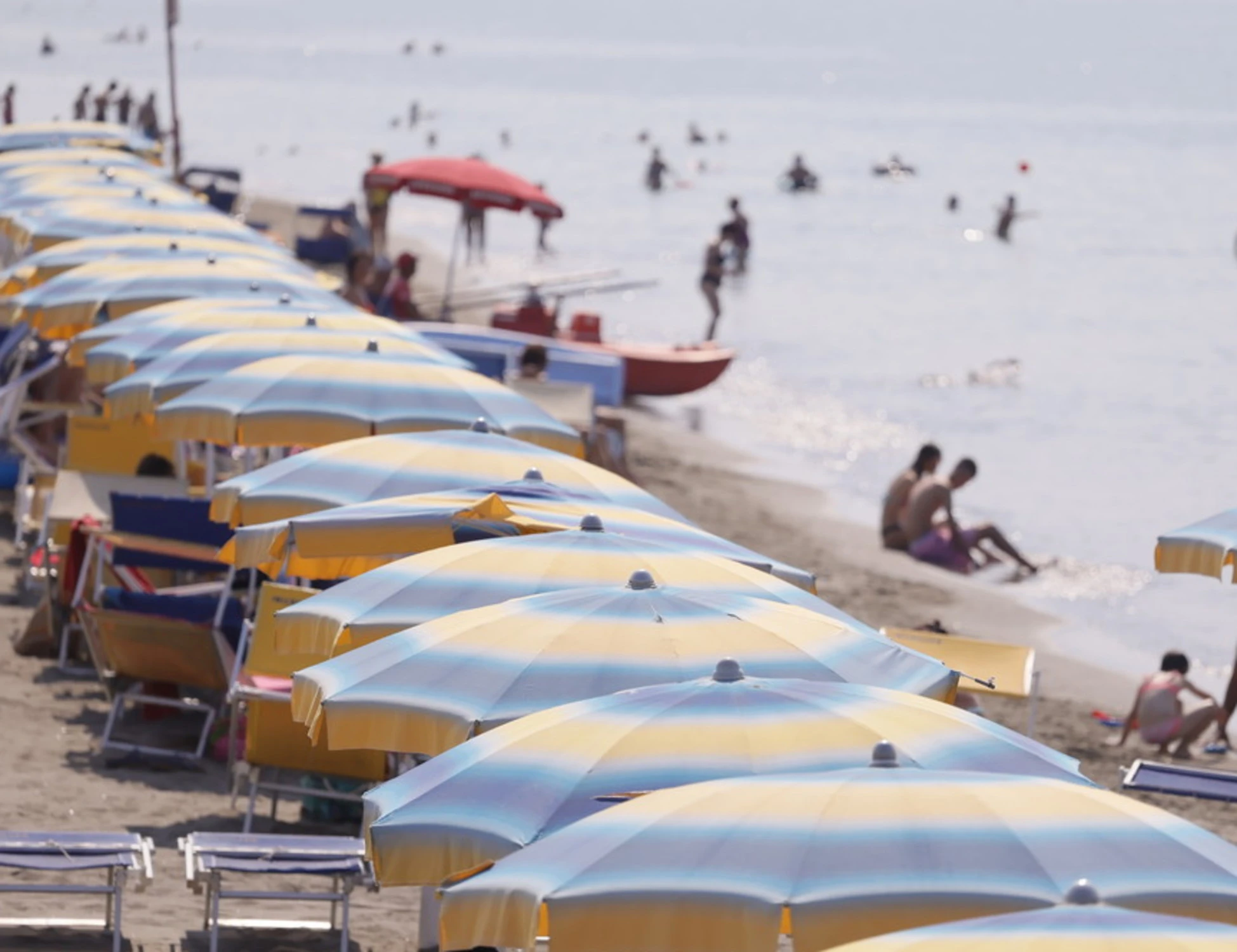 Spiagge, "furto" di conchiglie? Ecco dove rischi la stangata