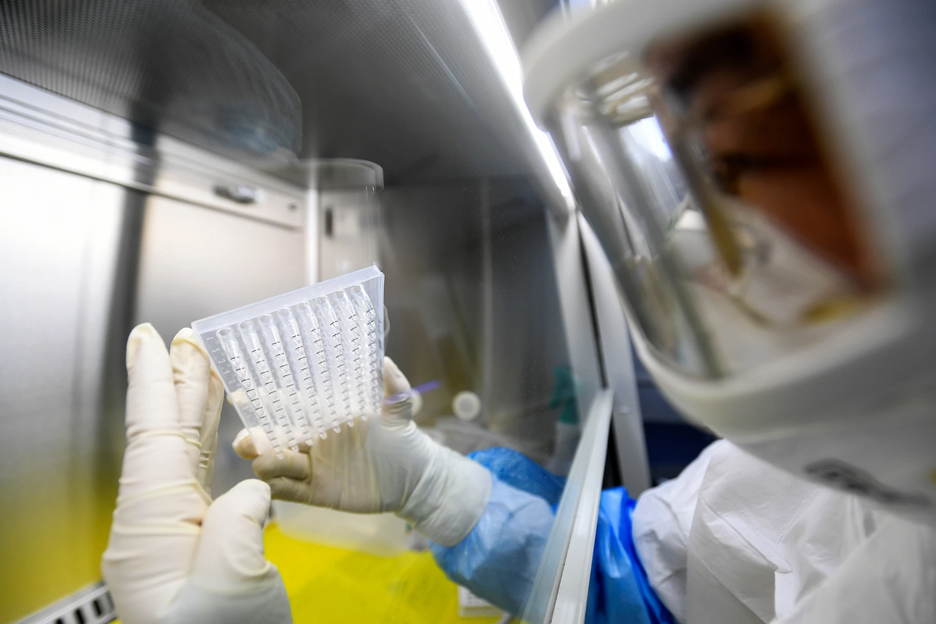 Coronavirus, la ricerca: ecco quanti giorni resiste a metallo, vetro e plastica. Il quadro si complica