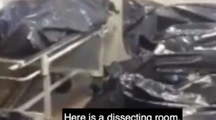 Russia devastata dal coronavirus, video choc dall'obitorio: "Cadaveri ovunque, cammino sulle teste"
