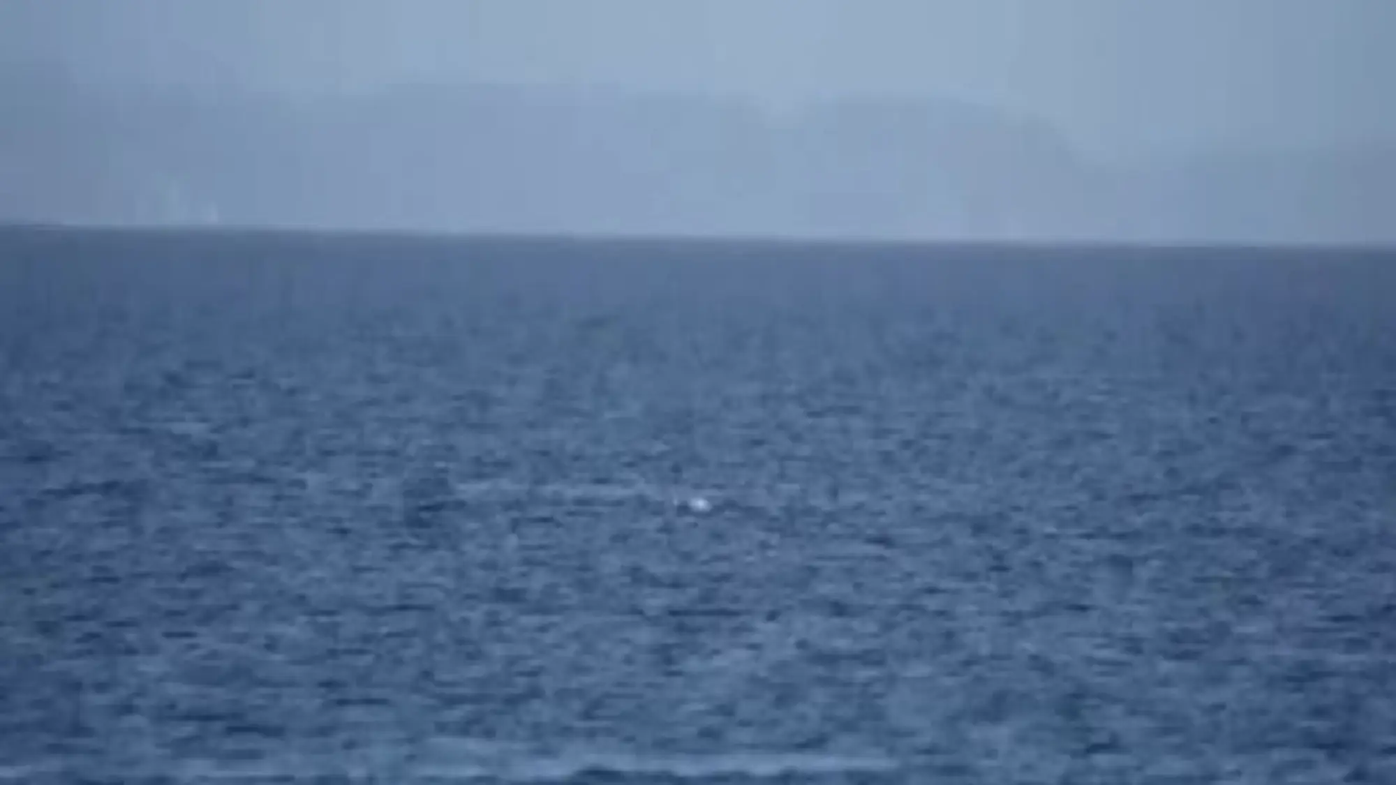 Mar Baltico, la liberazione della balena arenata