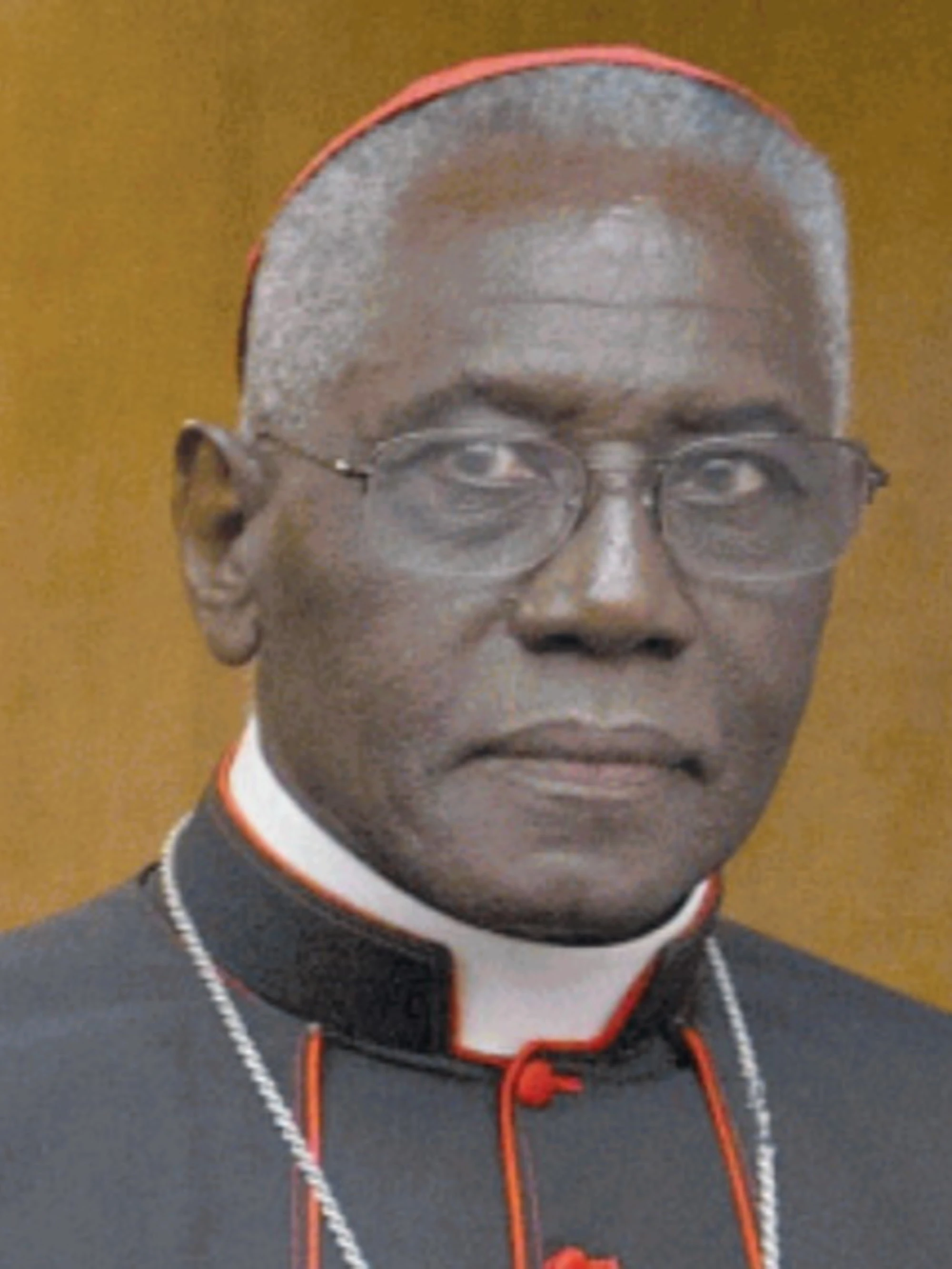 Conclave, il cardinale Sarah: incubo dei progressisti snobbato da Bergoglio
