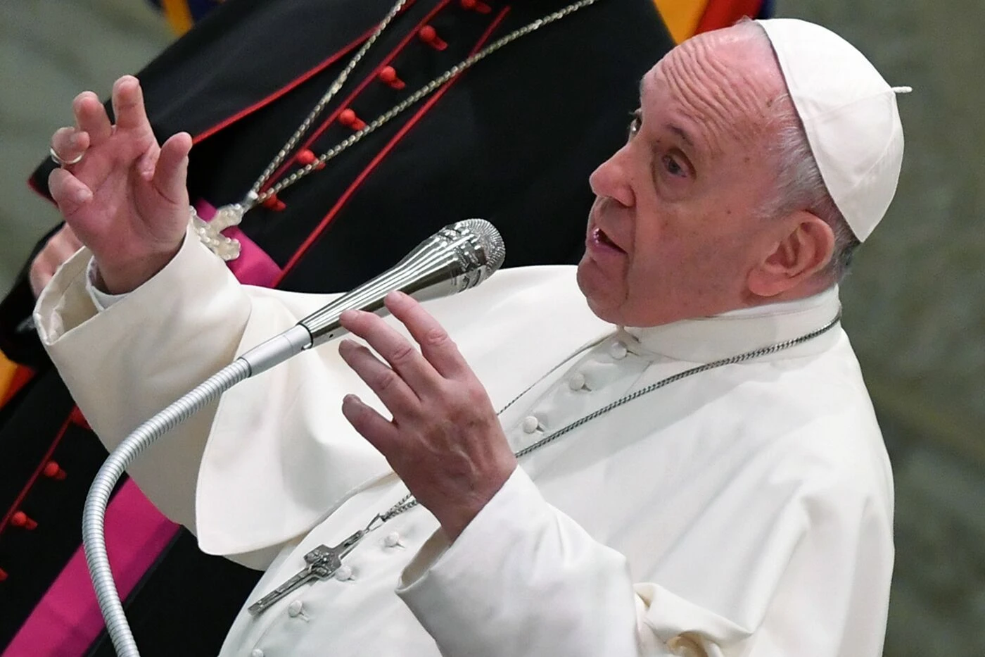 Papa Francesco, il messaggio contro "i zitelloni": "Forse non vi sposerete, ma dovete essere fecondi"