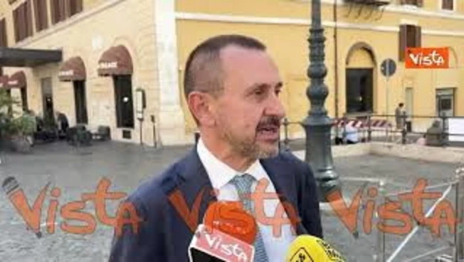 Rosato (Azione) su abolizione bollo auto: Misura utile che aiuta le famiglie, bene ridurre le tasse