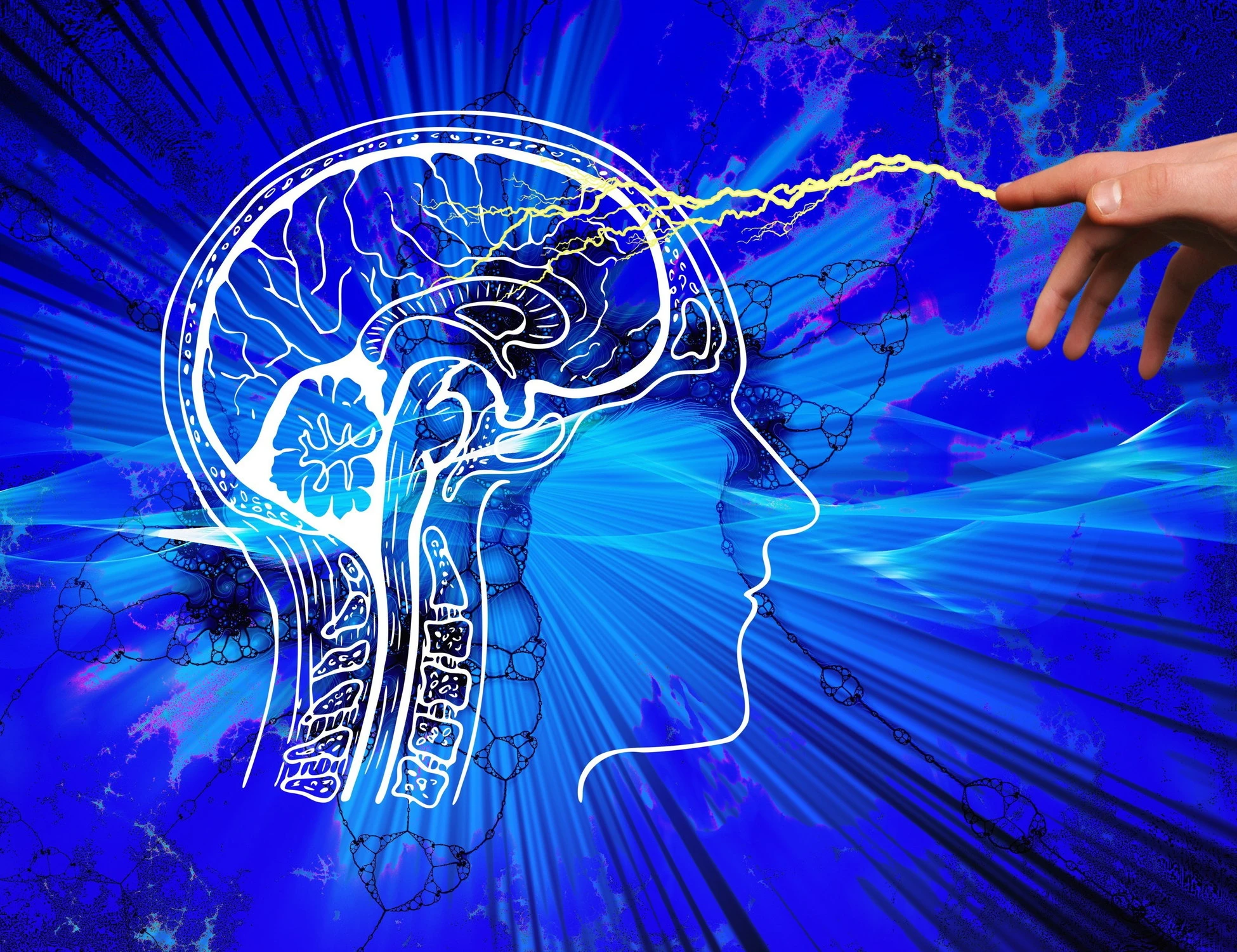 Cervello, cosa "scorda" di controllare: il segreto della nostra mente