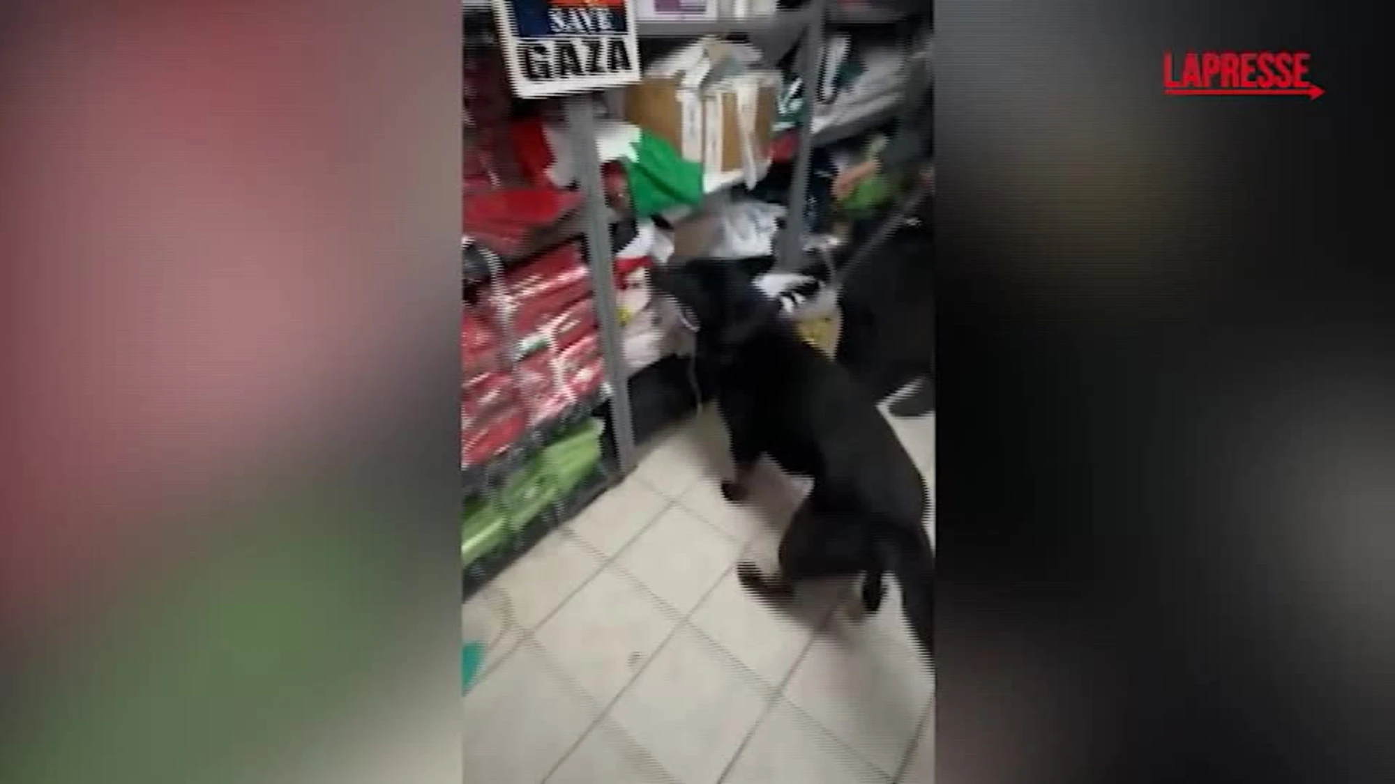 Hamas a Genova, il sacco pieno di soldi trovato durante le perquisizioni