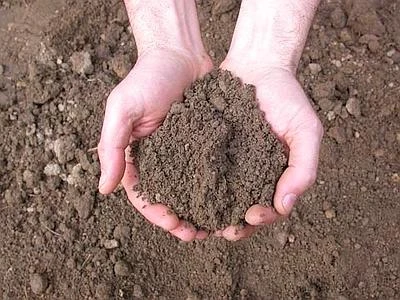 Dalla Regione Lombardia 41 milioni di euro per la salvaguardia del territorio