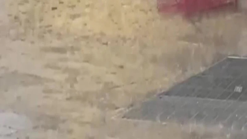 https://media.liberoquotidiano.it/1J0l0jyVGTZHtJmRJOzKAxv9LFAPbSGtZss3RCmB19g/width:800/quality:90/aW1hZ2VzLzIwMjUvMTAvMDUvMTY1ODQxNjUwLTkzYWIzY2Q2LWE3ZTMtNDEzYi1hMTFkLWEyMDZlZmIwMWYzYy5qcGc.webp