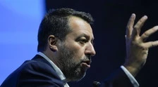 Salvini denuncia, gatti presi a calci: "Cretini e delinquenti"