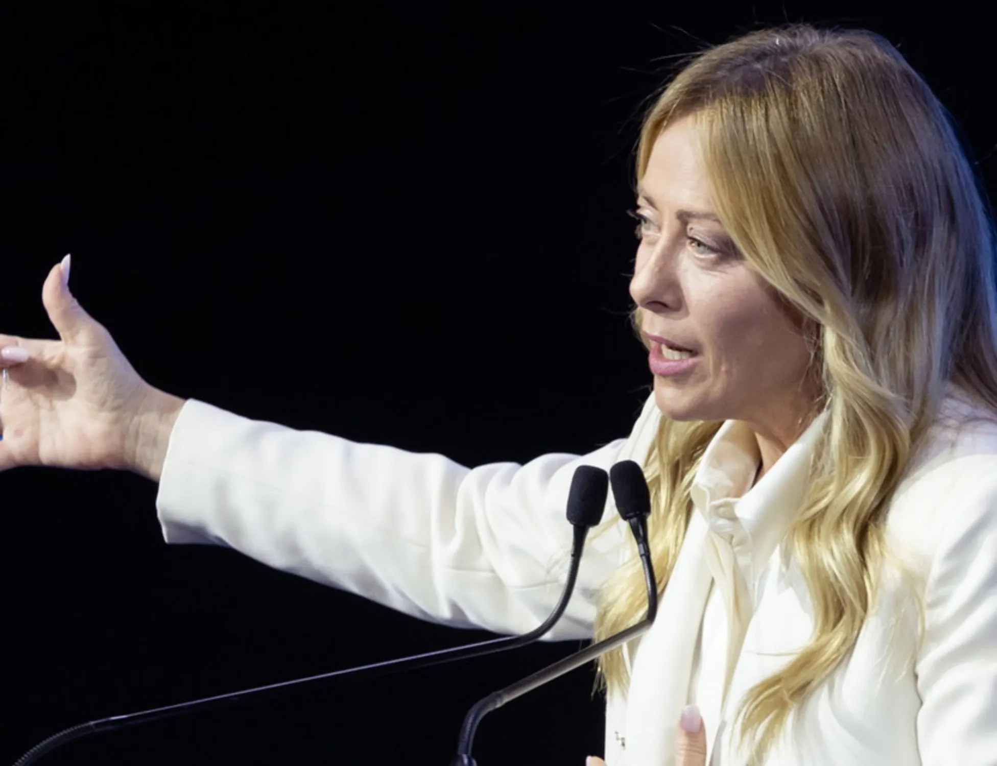 Leggi l'articolo: "Non ero e non sono ricattabile", Giorgia Meloni spiana il generale Vannacci