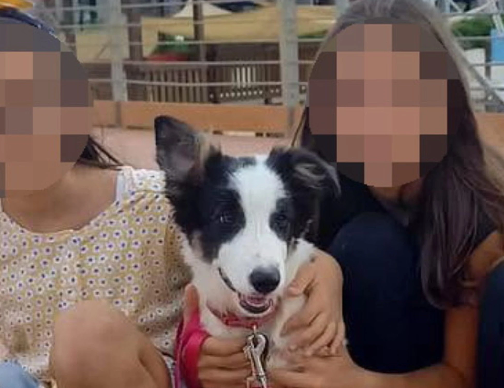 Sarah e Alisya, la zia che le ospitava: "Mi hanno messo in mezzo. Ma..."